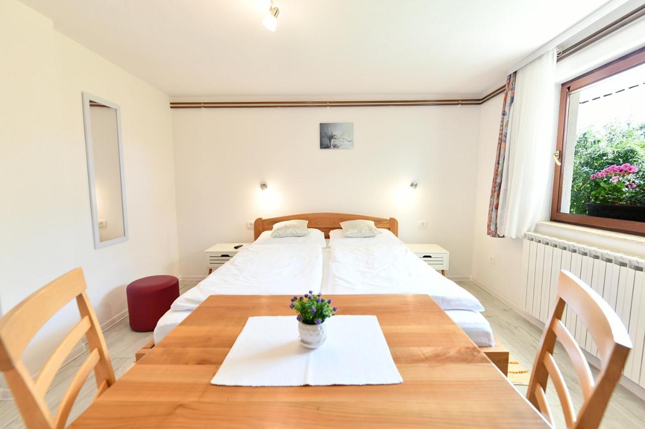 Apartment And Rooms Ivancica Selište Drežničko Extérieur photo