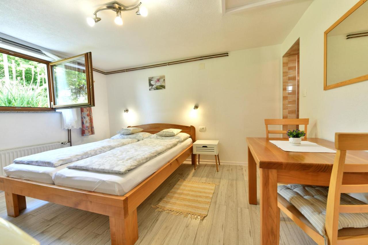 Apartment And Rooms Ivancica Selište Drežničko Extérieur photo