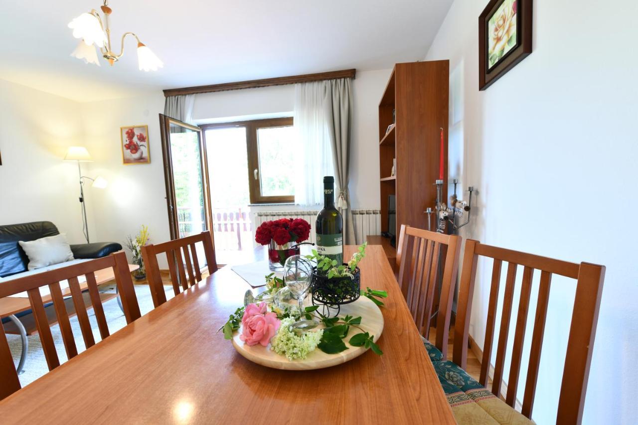 Apartment And Rooms Ivancica Selište Drežničko Extérieur photo